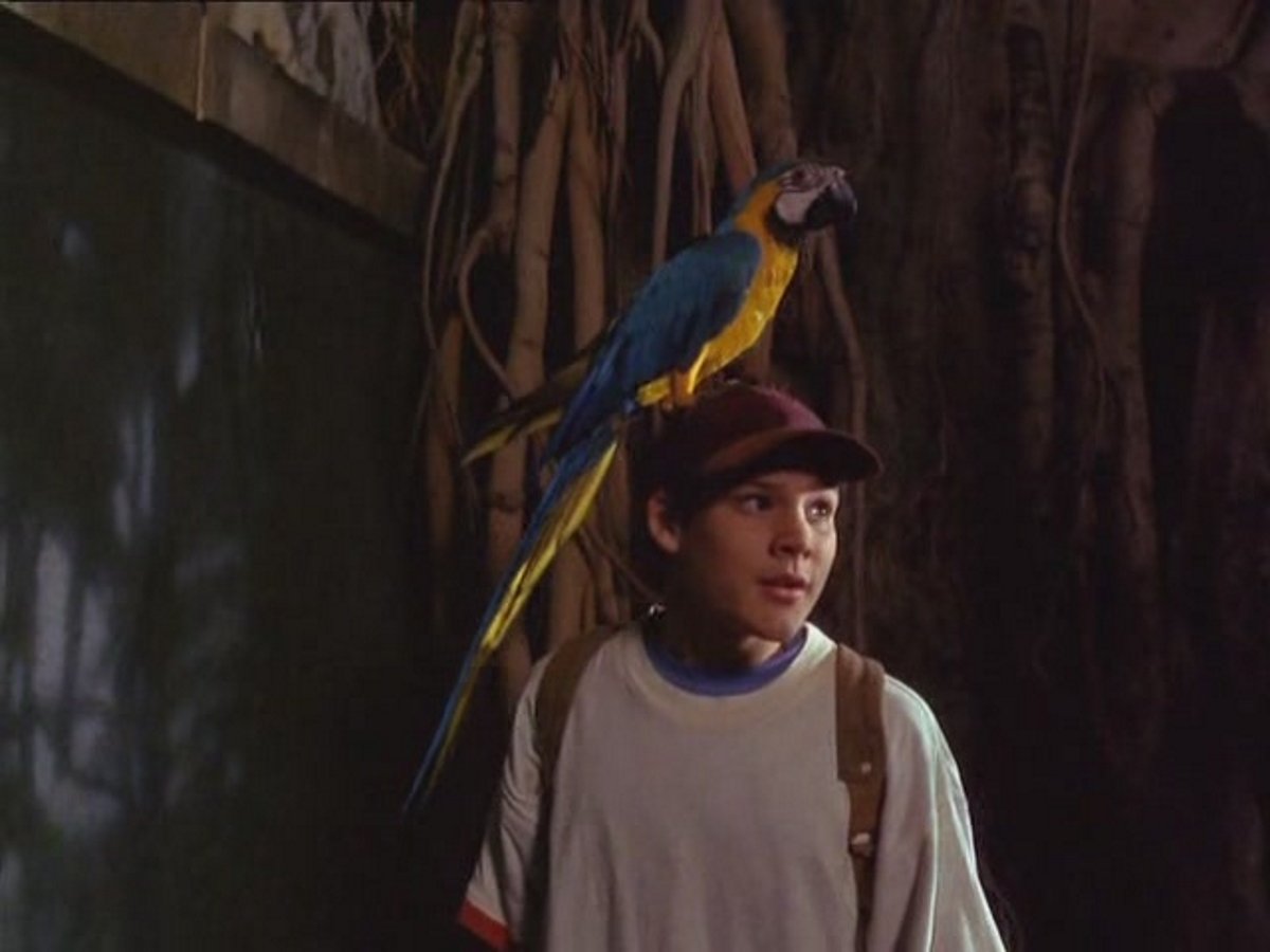 Джейми Крофт