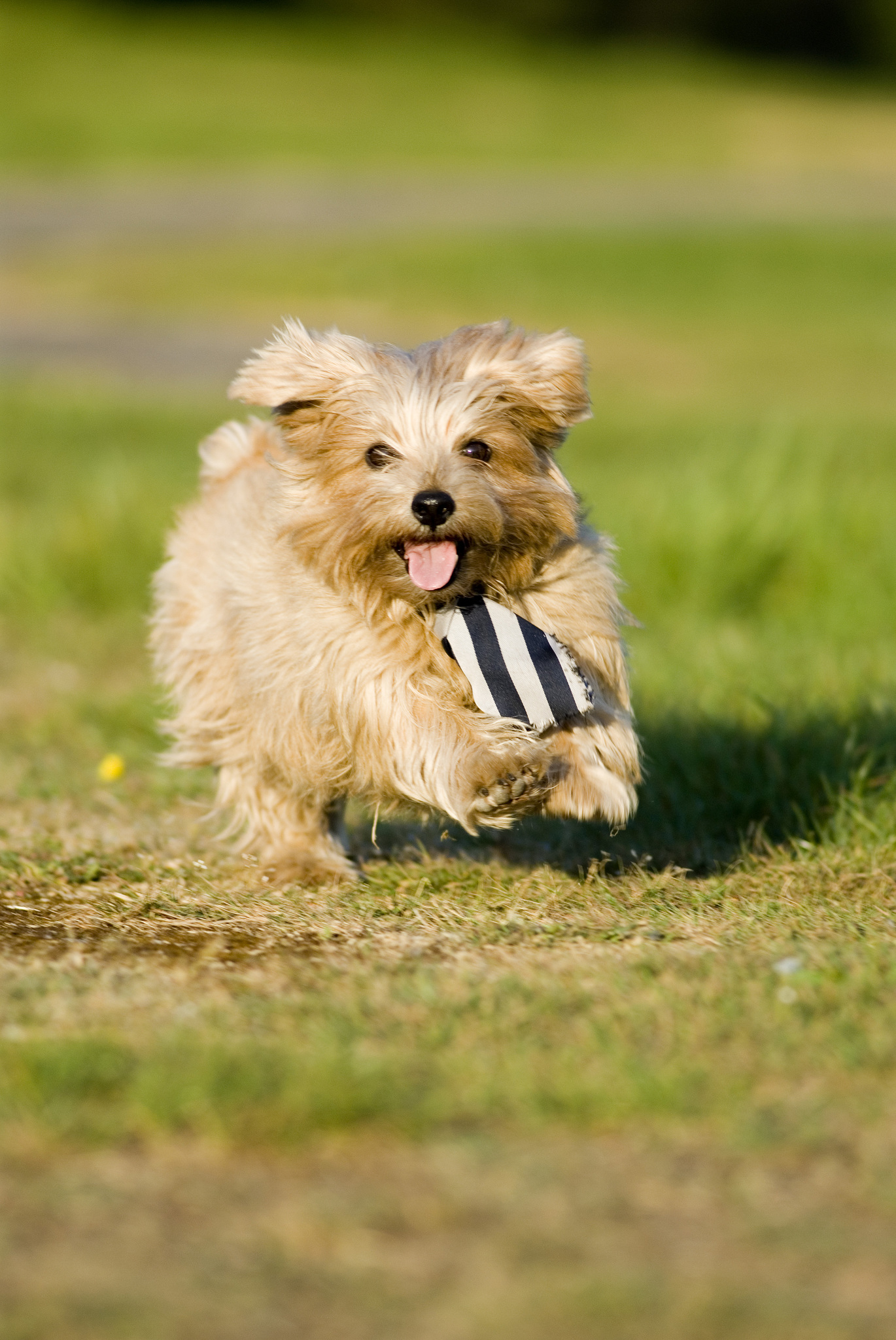 Мистер Дарси