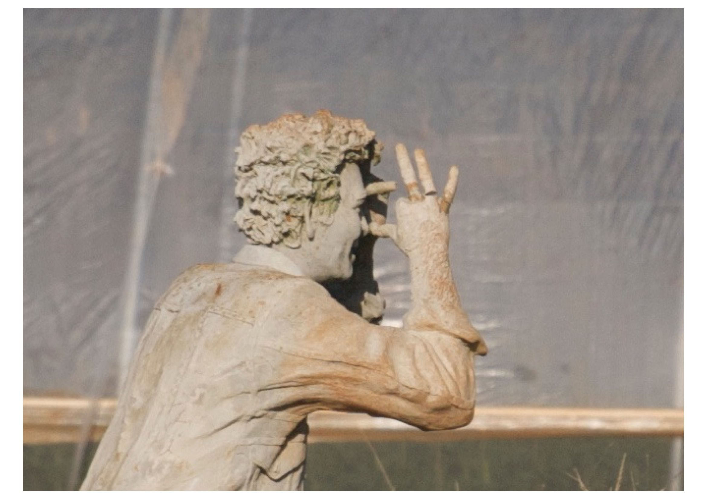 Хелен Гэйнор