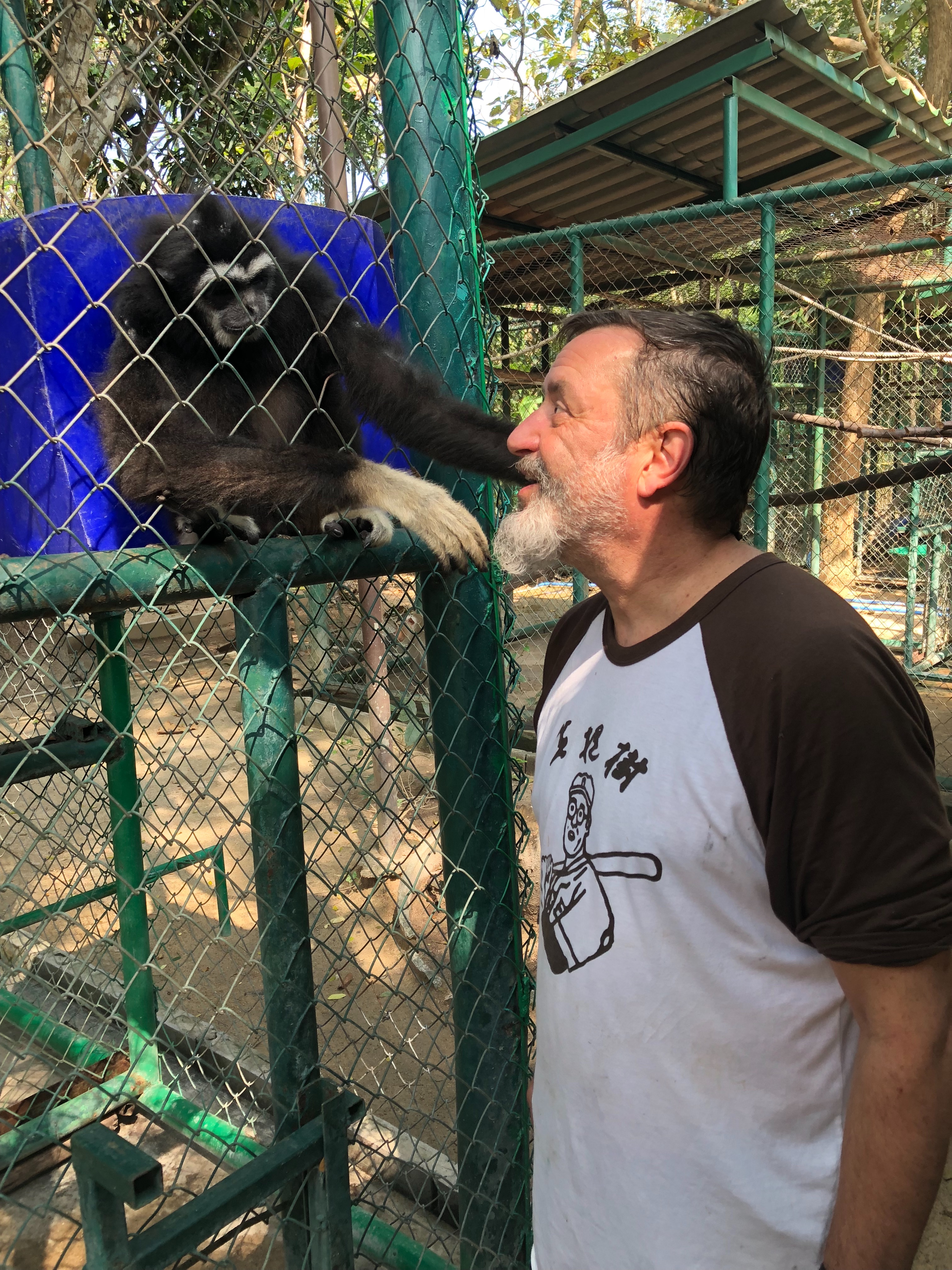 Брайан Коренберг