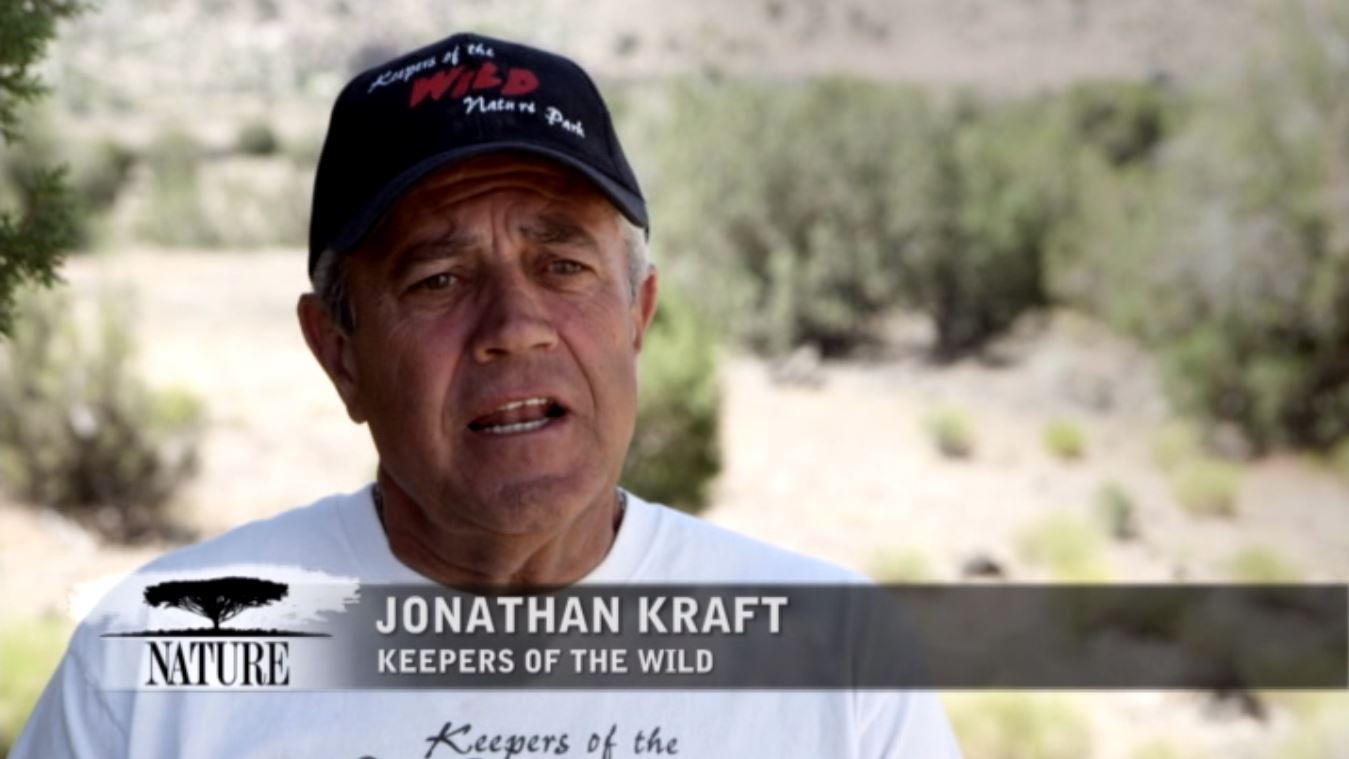 Джонатан Крафт