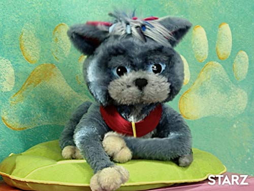 Адам Кроненберг