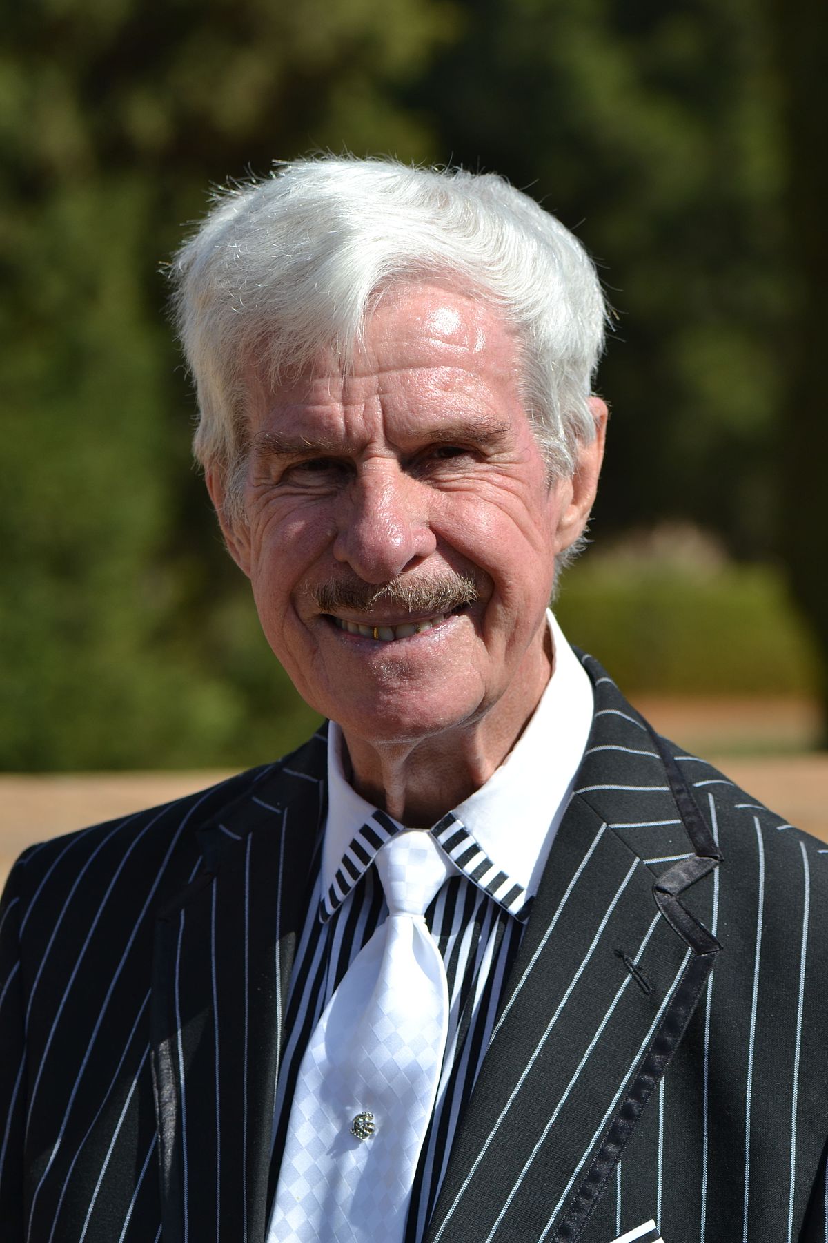 Йохан Малербе