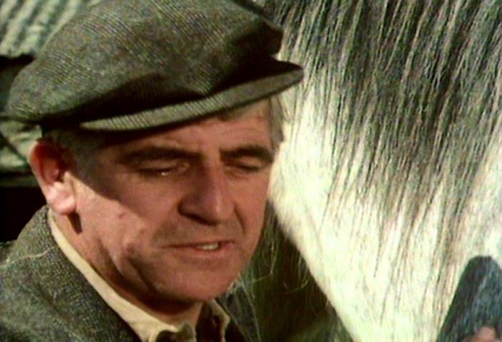 Джонни Максфилд