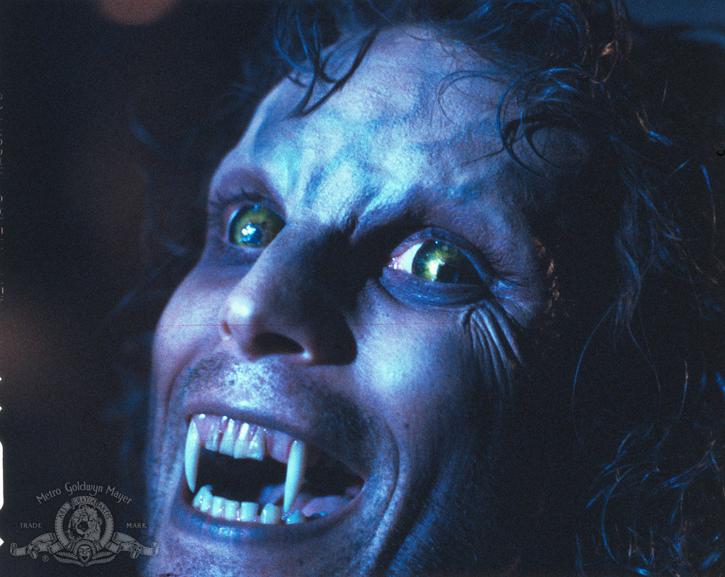 Дон МакЛеод