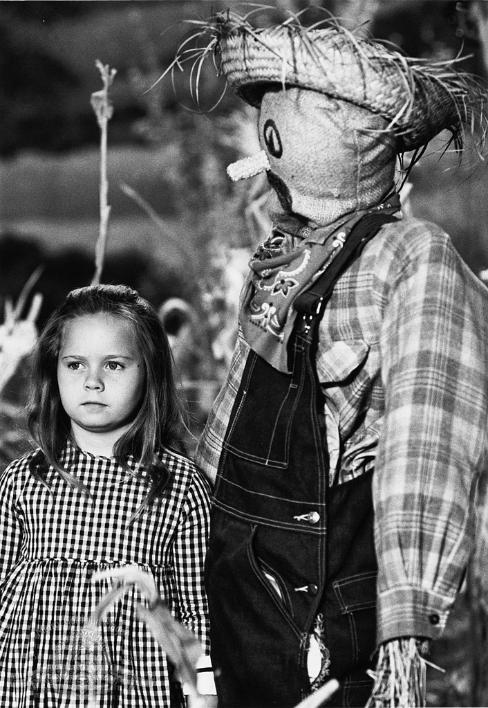 Виктория Пэйдж  Мейеринк