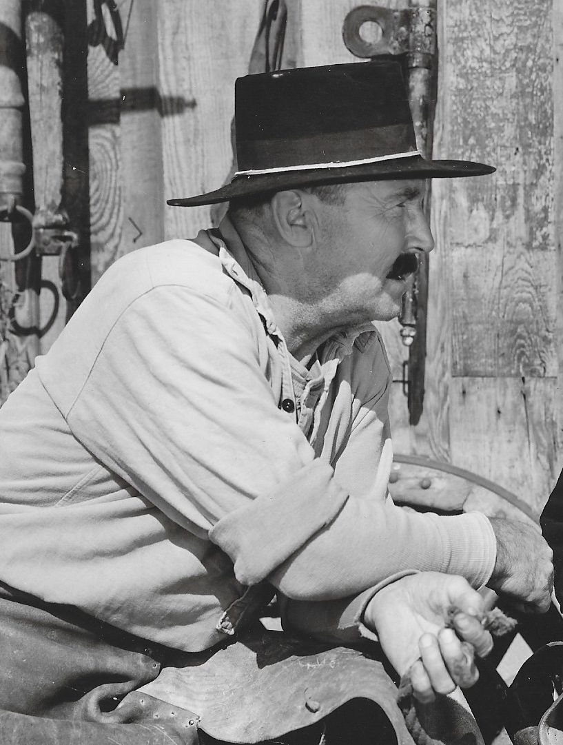 Монте Монтегю