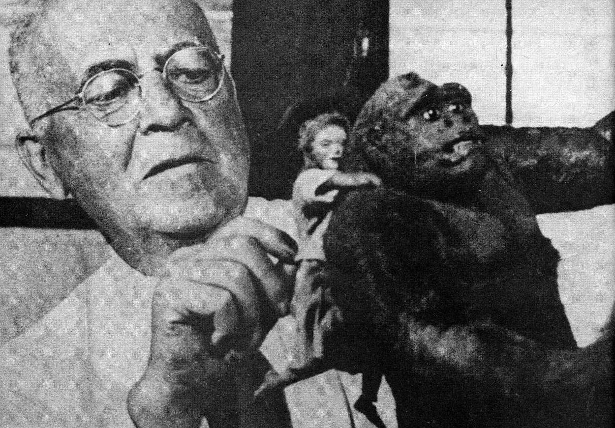 Уиллис Х.  О'Брайен