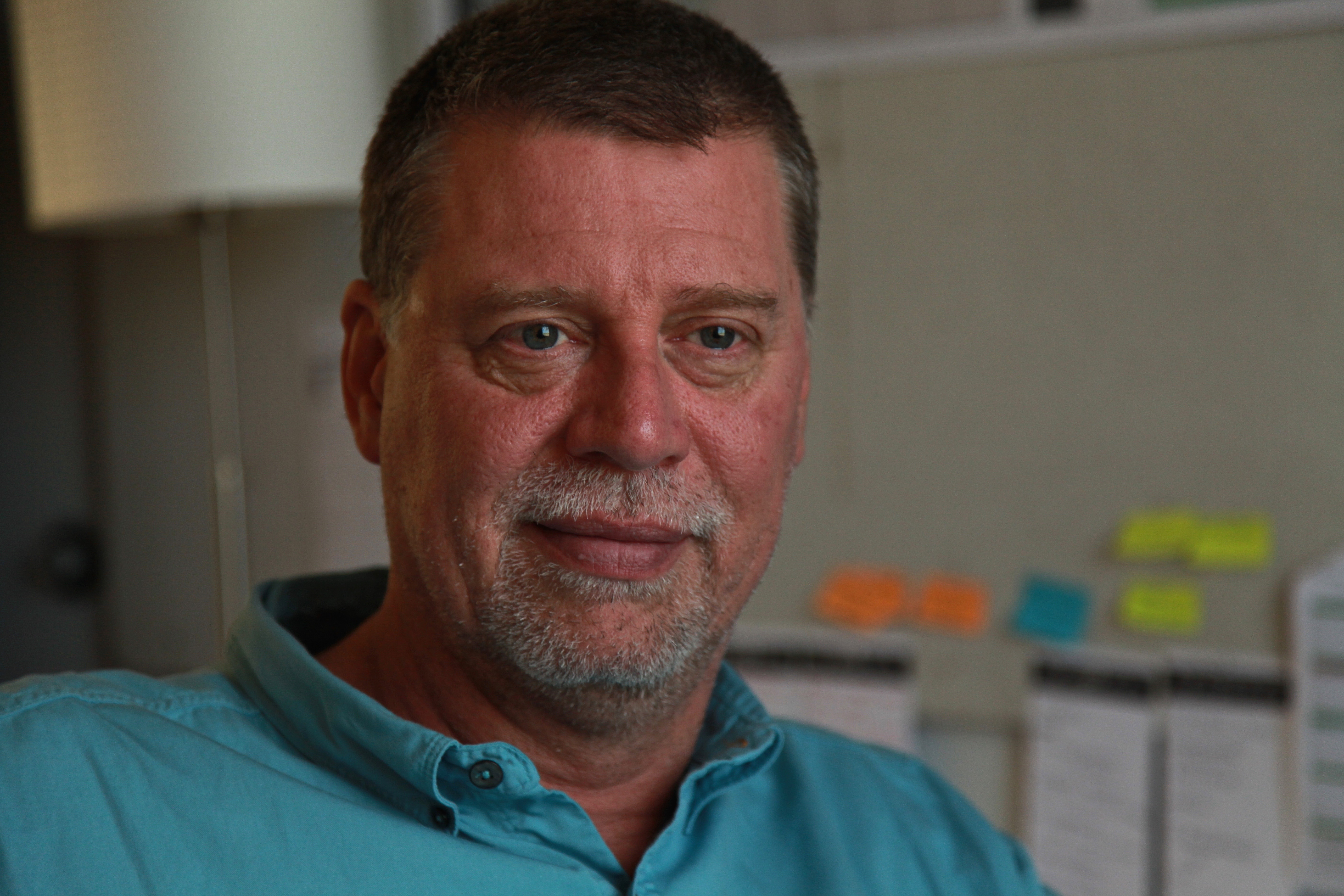 Дэвид Сарди