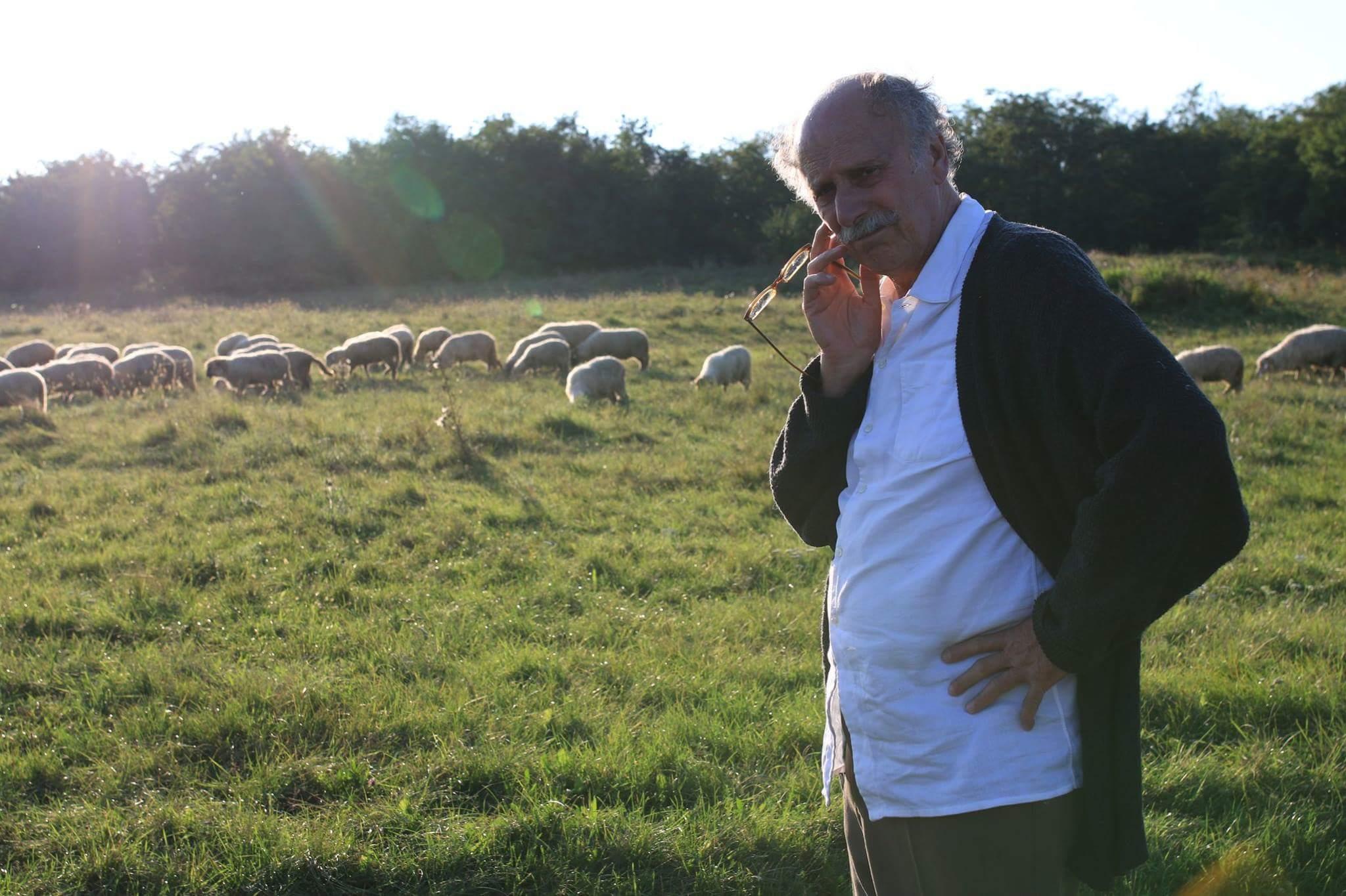 Овиду Шумахер