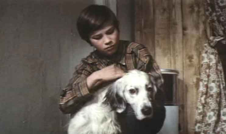 Сергей Шевляков