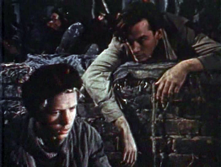 Виктор Степанов