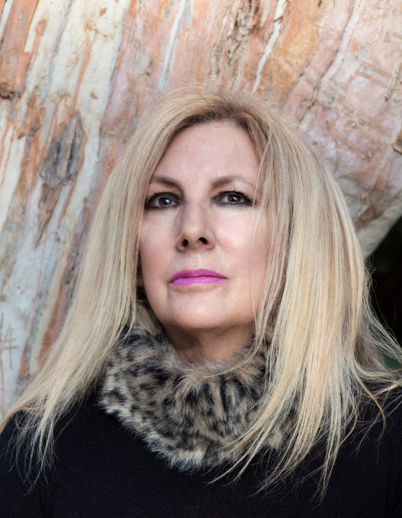 Диан Стиллман