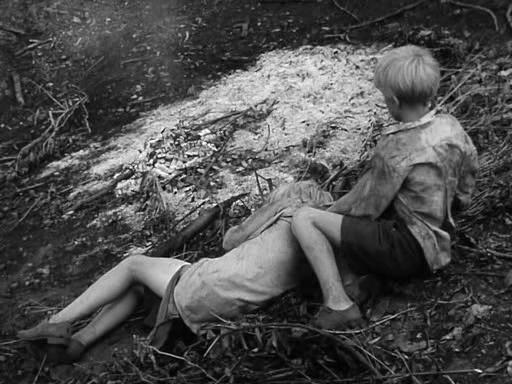 Дэвид Сертис