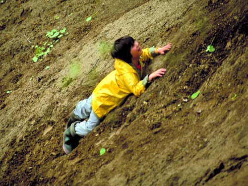 Sunny Besen Thrasher