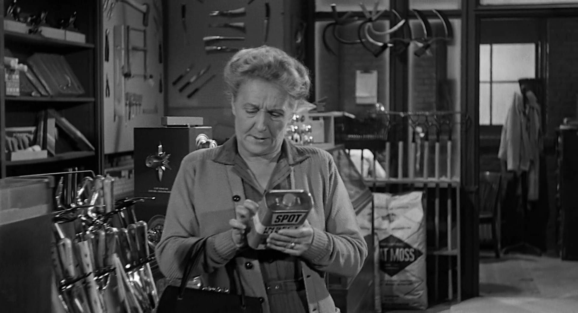 Хелен Уоллес