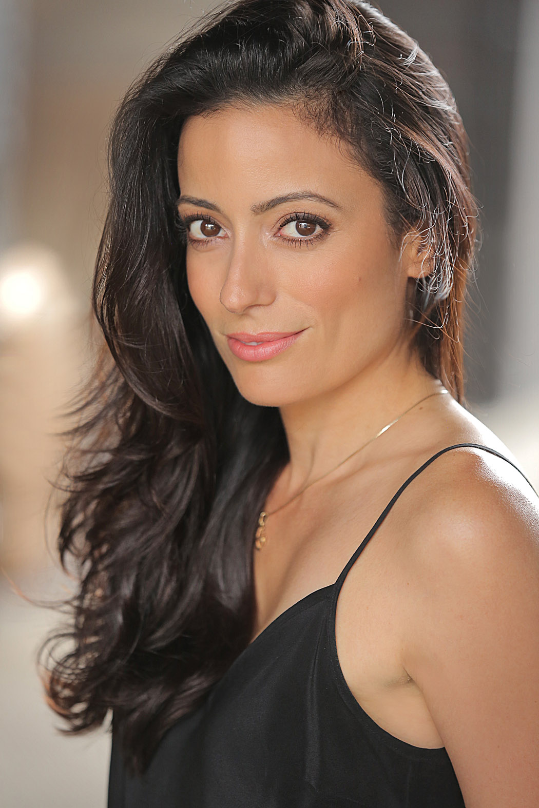 Бри Майкл  Уорнер