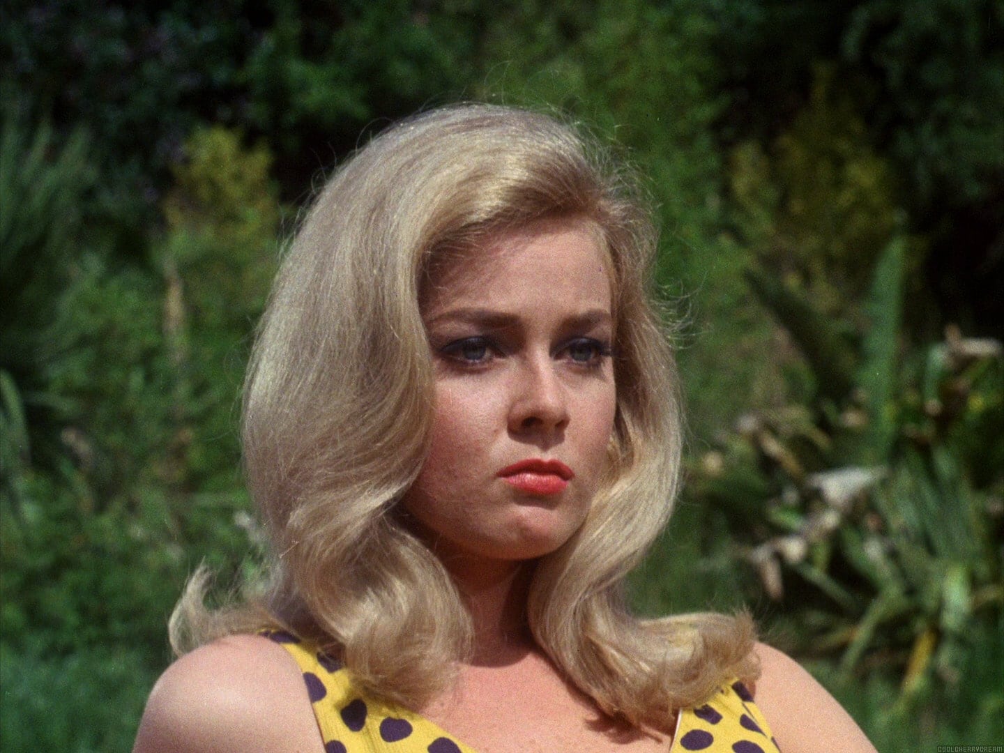 Венита Вольф