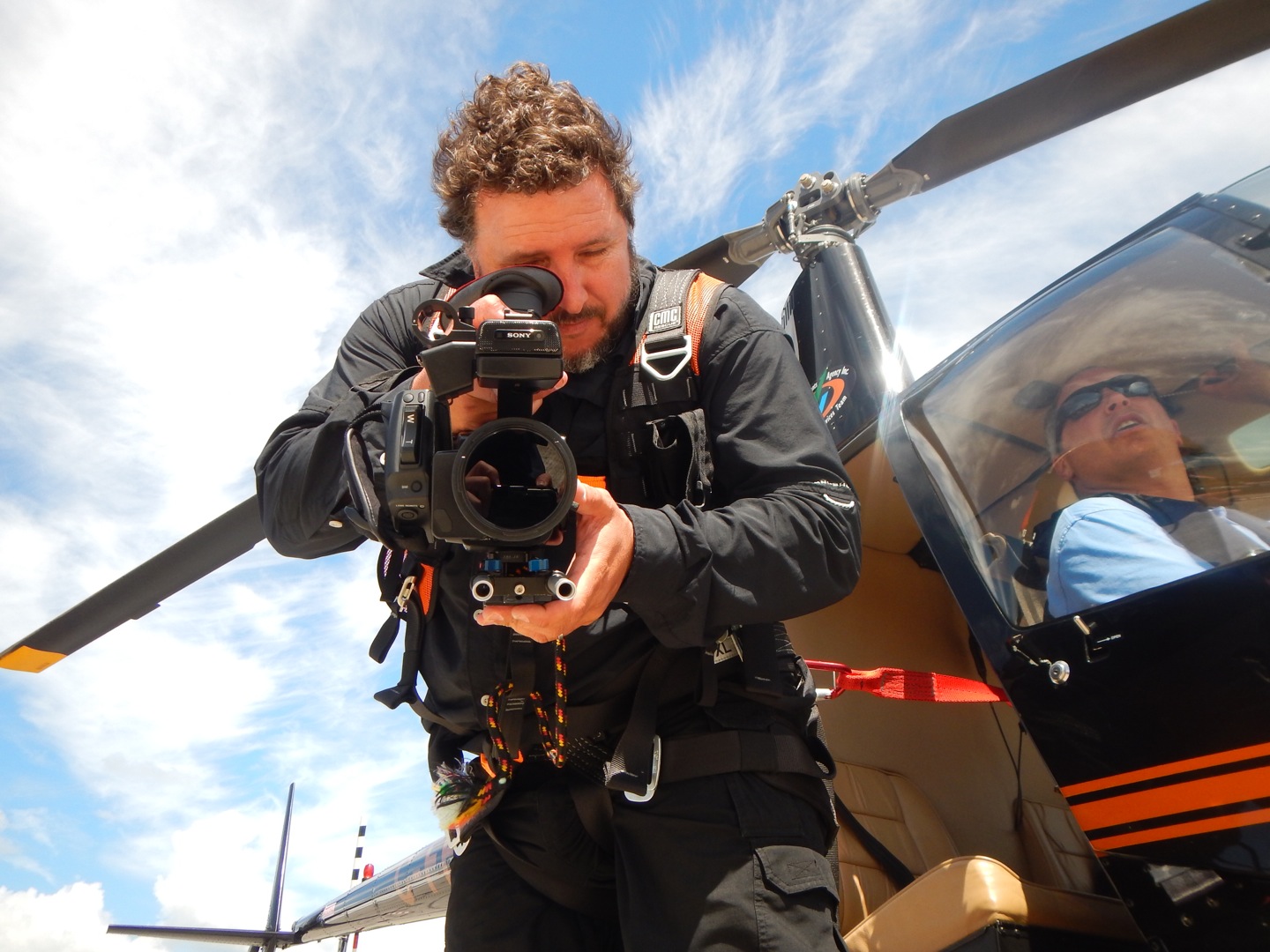 Хэрри Фрайт