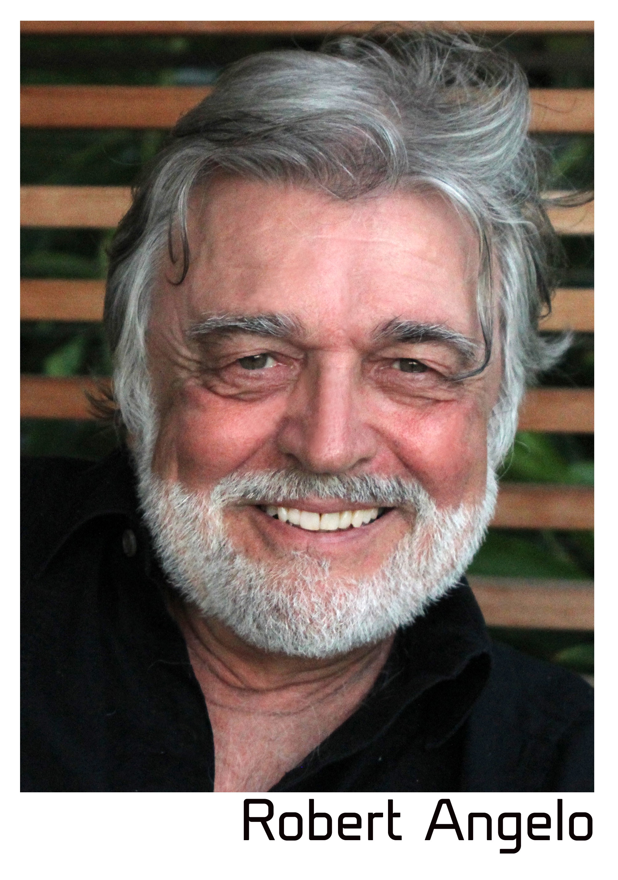 Роберт Анжело