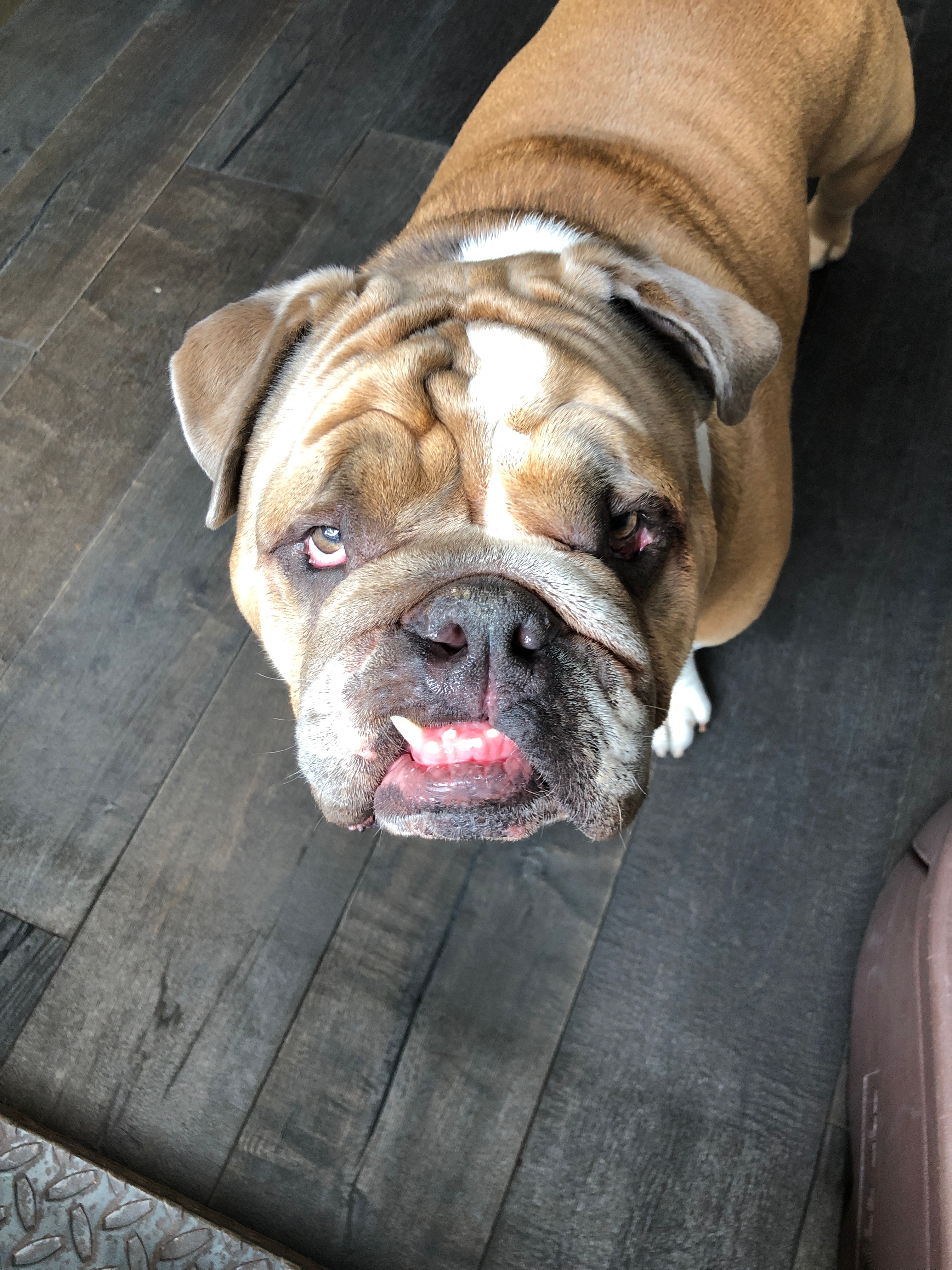 Тупак Соуза