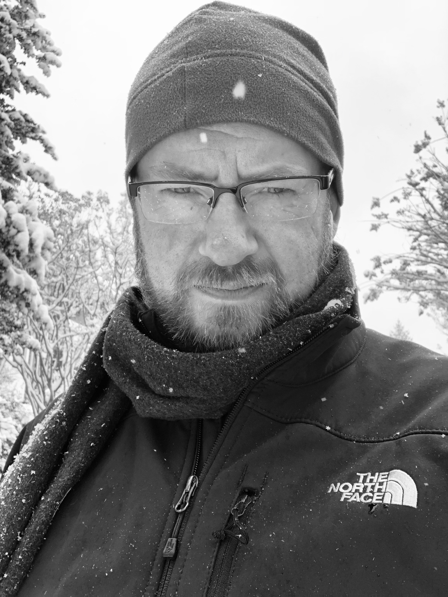 Илай Свенсон