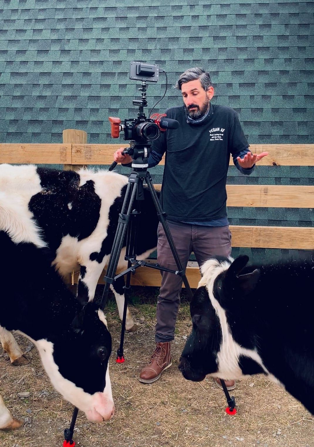 Джордан Эрлих