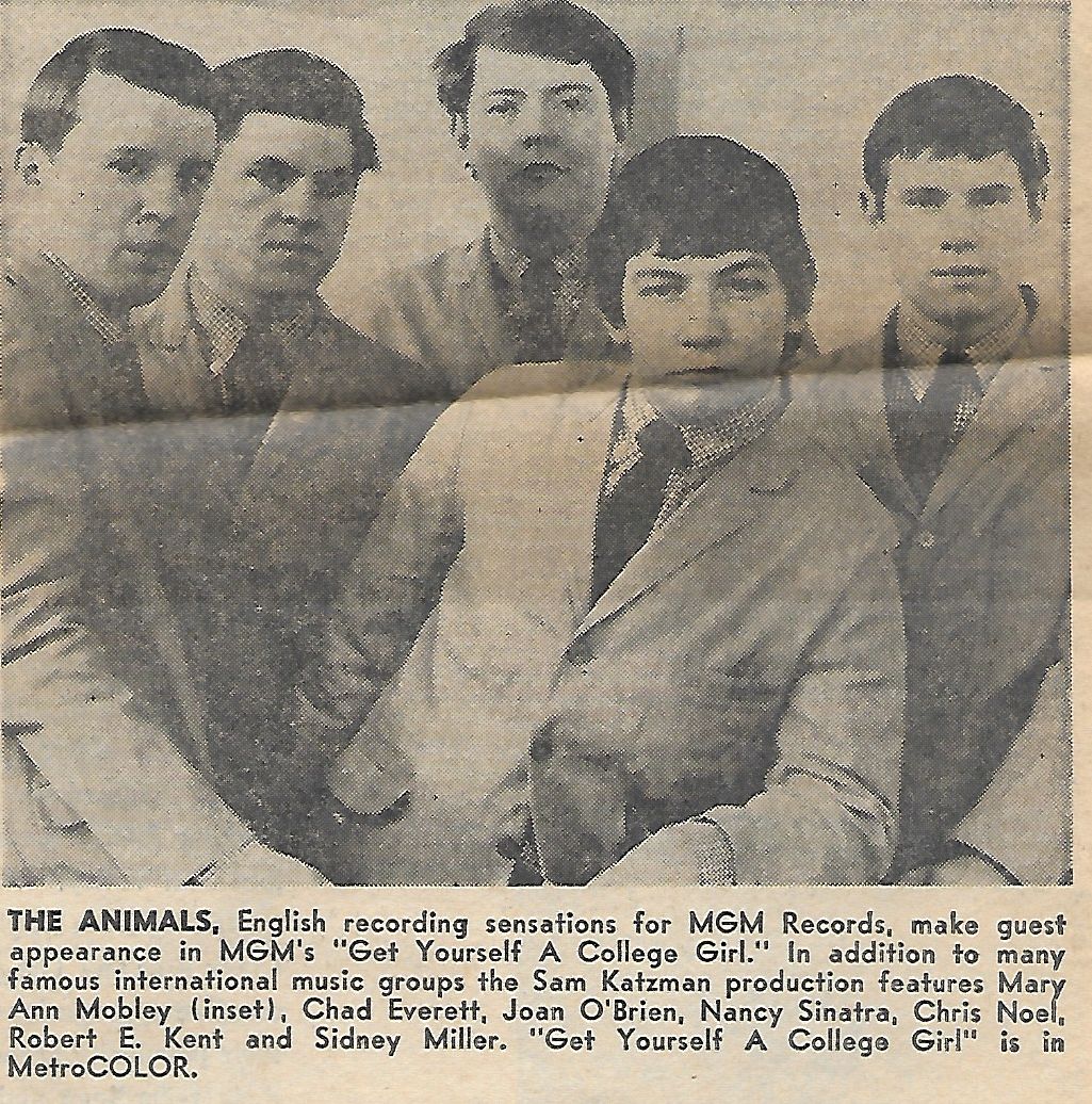 The Animals