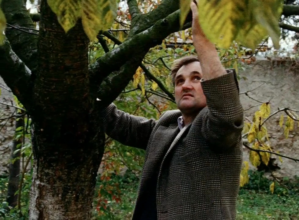 Генрих Фляйшман