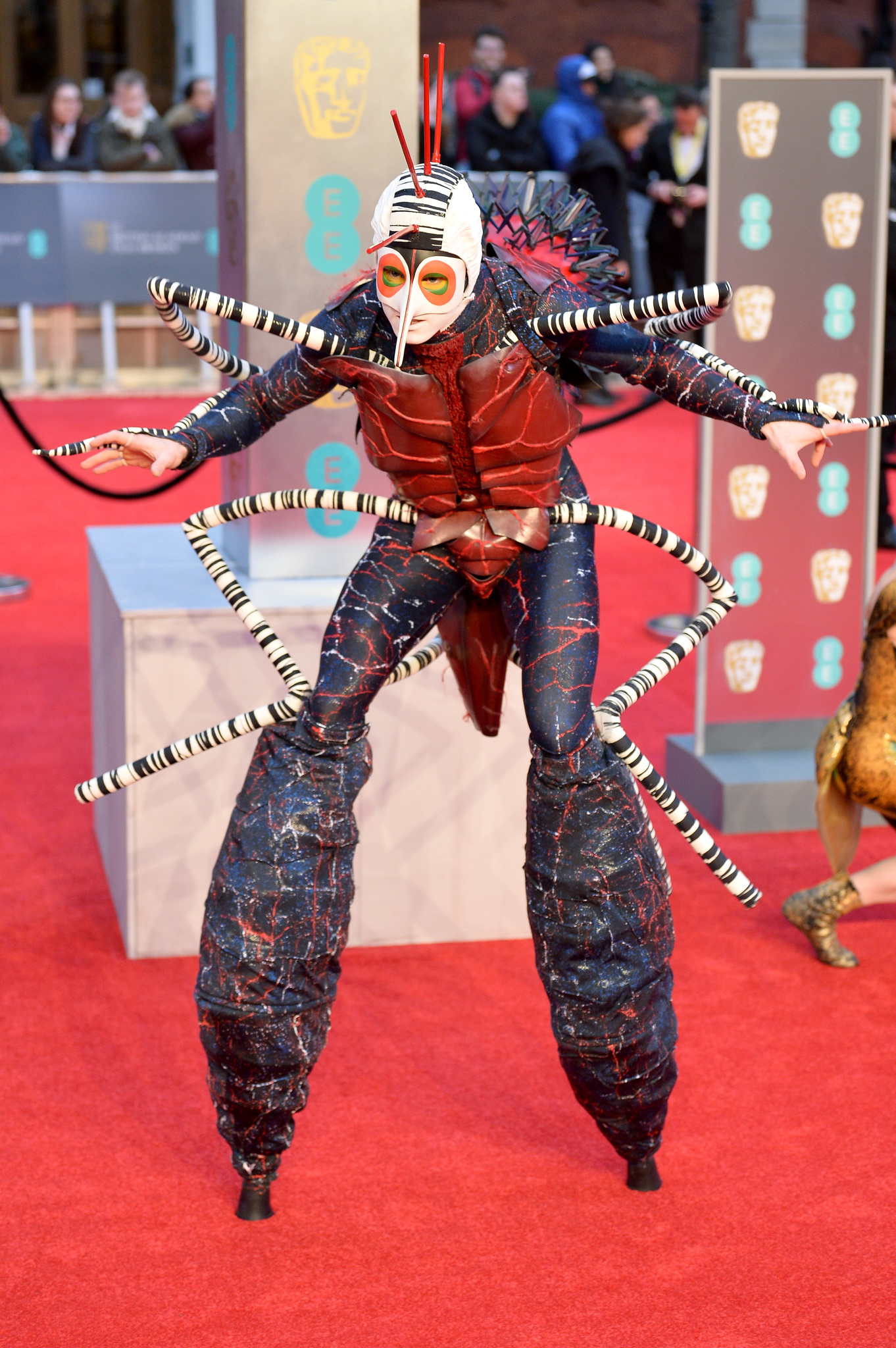 Cirque du Soleil