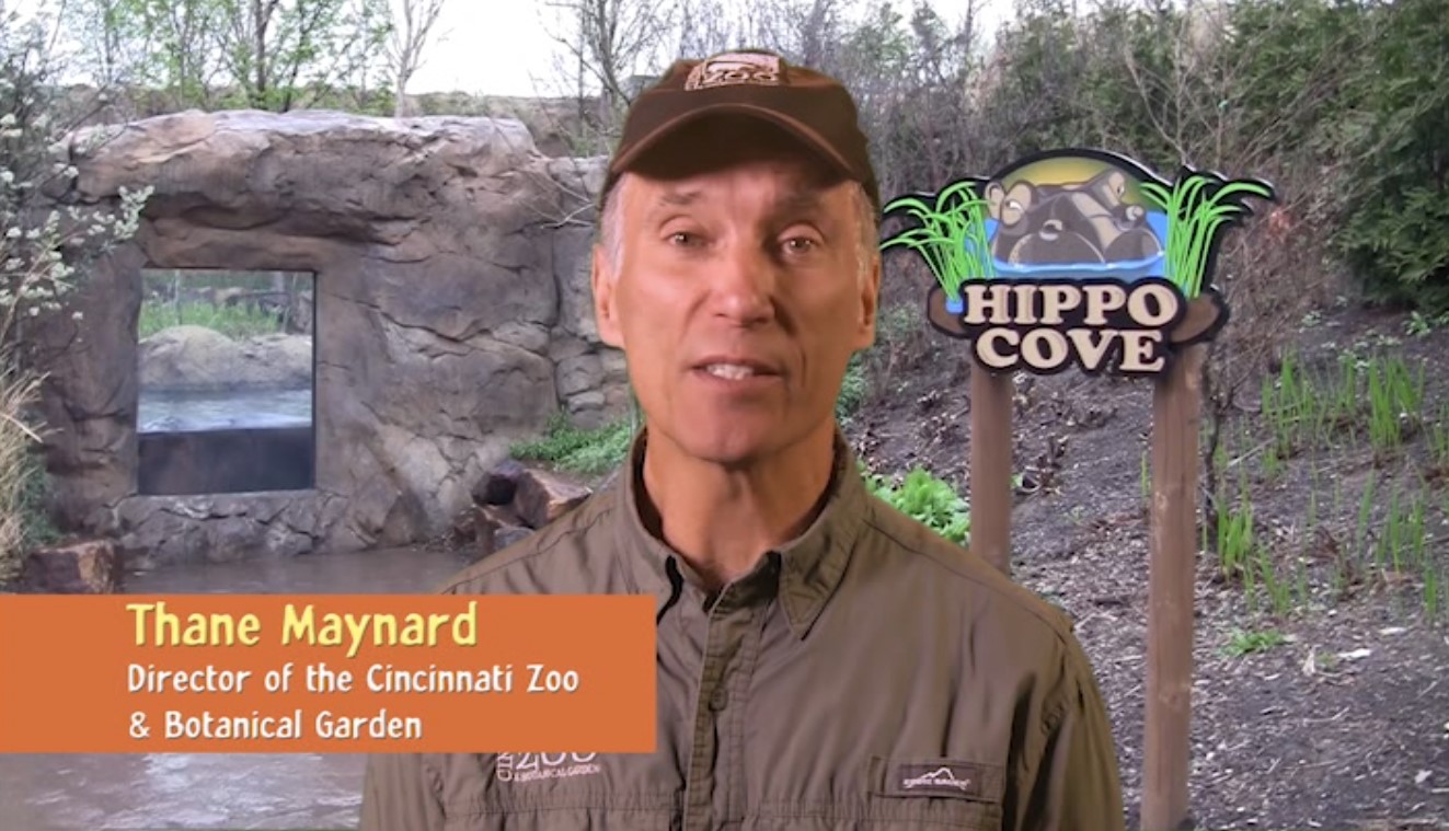 Тэн Мэйнард