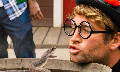 Шон МакИнерни