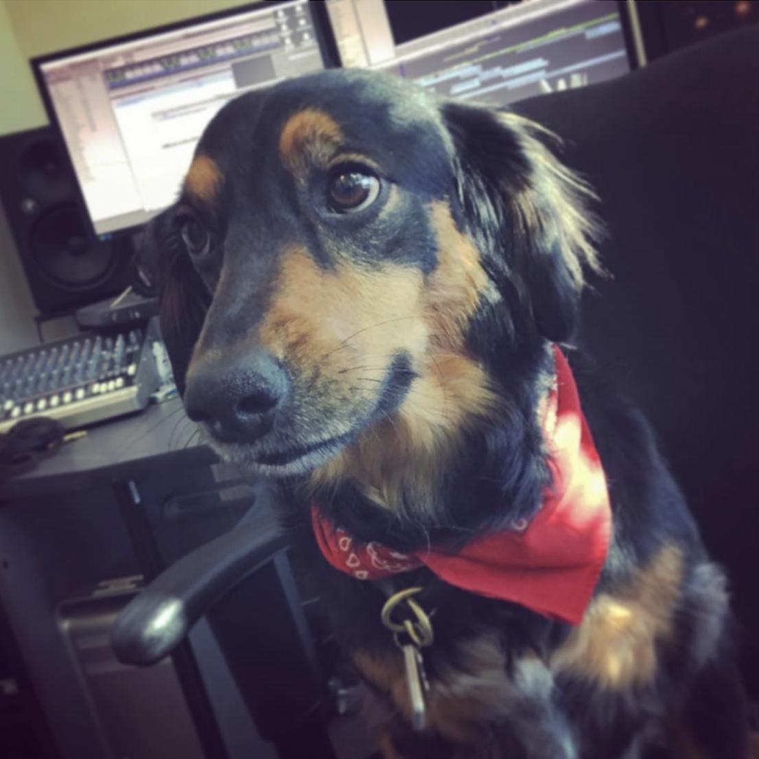 Алистер Нэпп