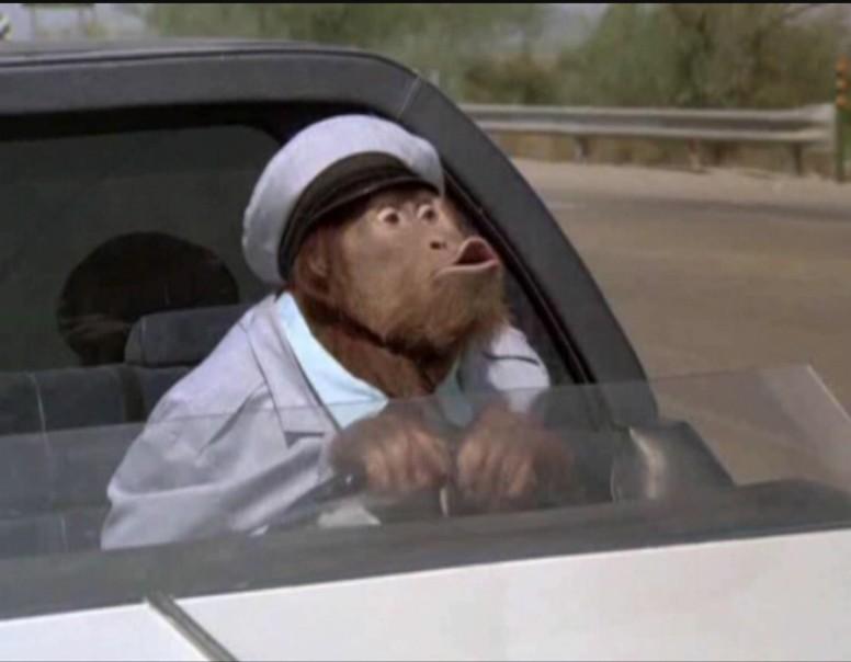 Bobby Berosini's Orangutan