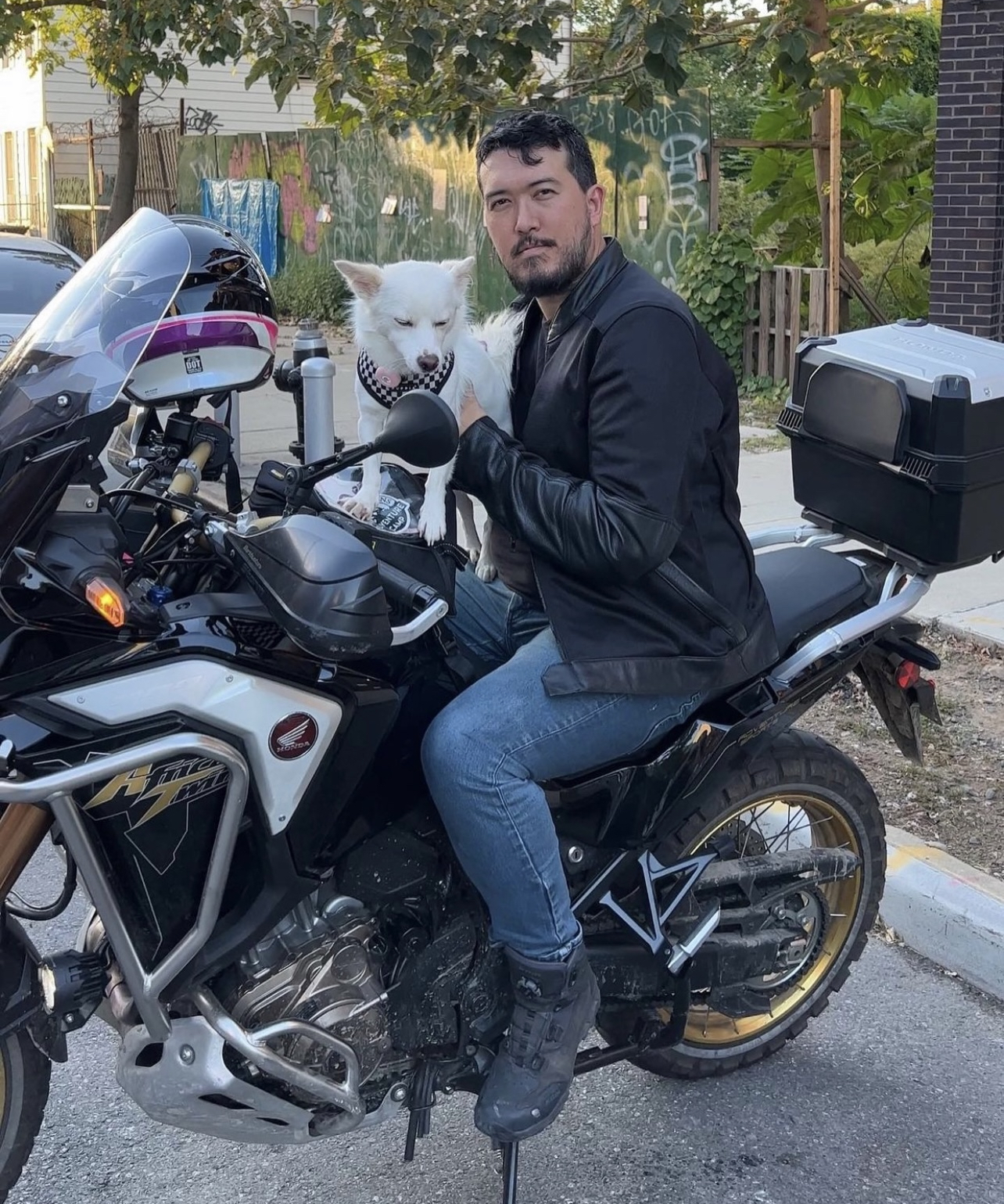 Аарон Стюарт-Ан