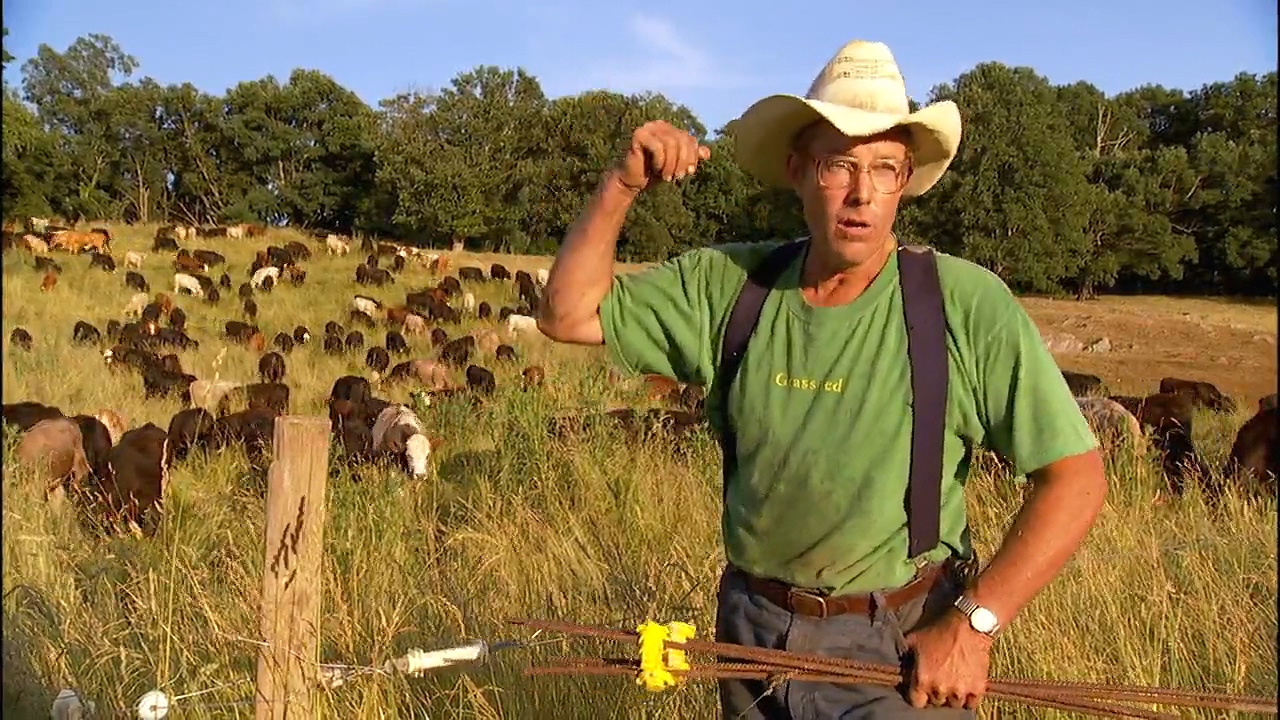 Джоэл Сэлэтен