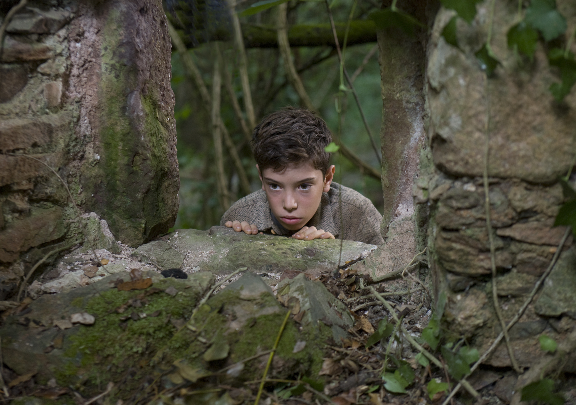 Франсеск Коломер