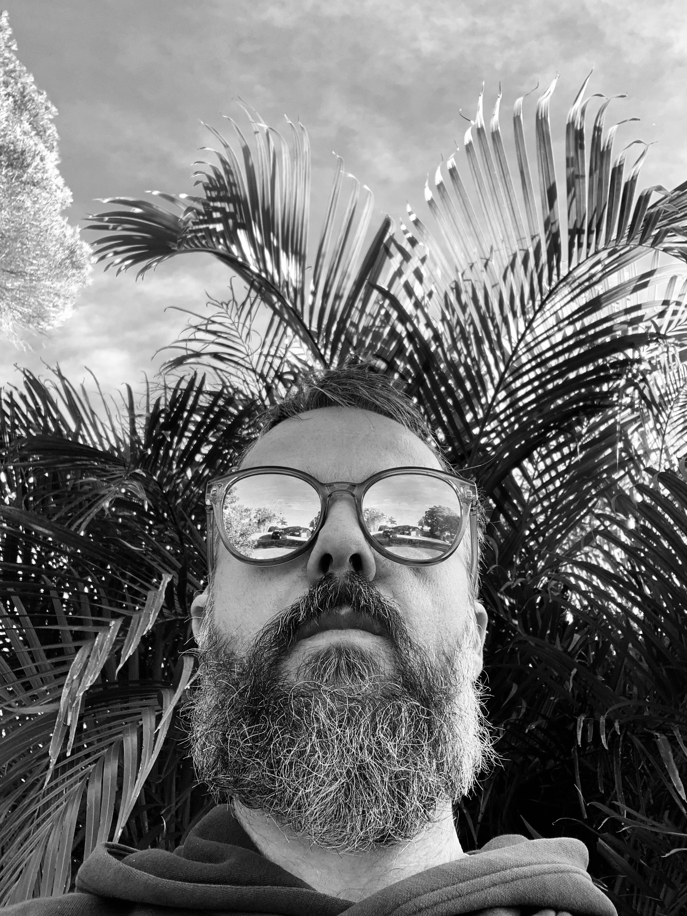 Саймон Уолбрук