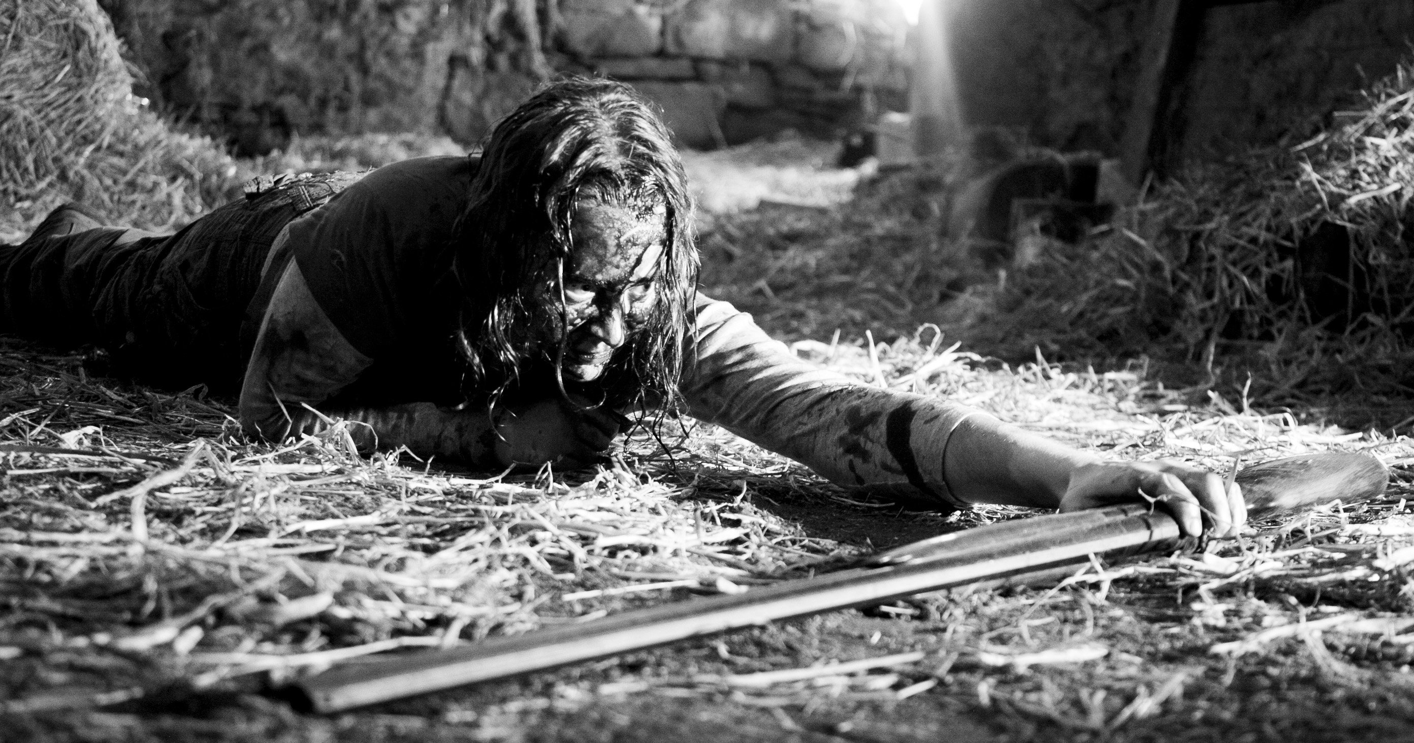 Лиза Кэмерон