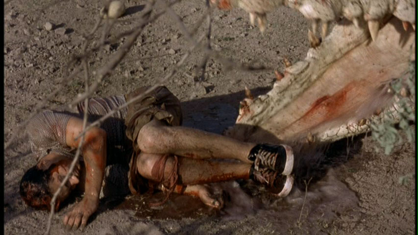 Крис Солари