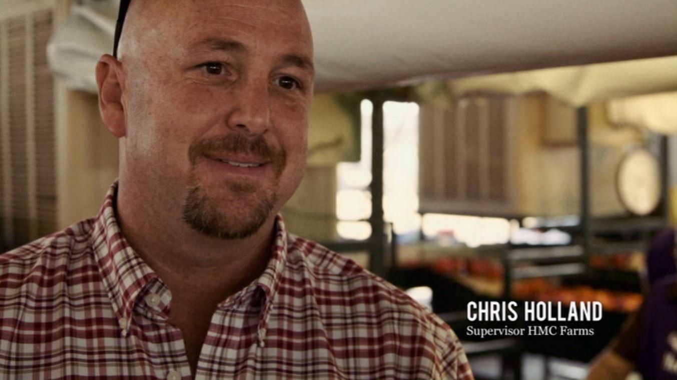 Крис Холланд