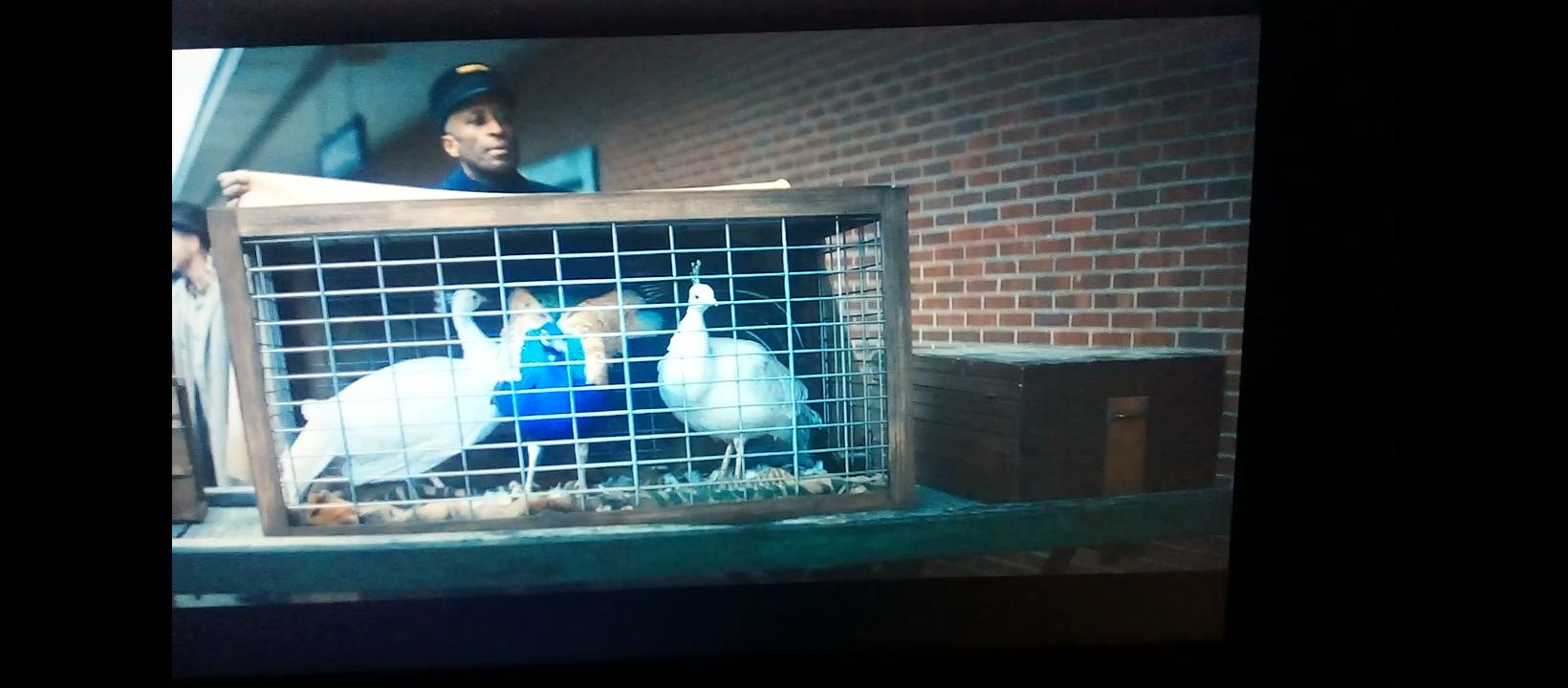 Джон И. Браунли