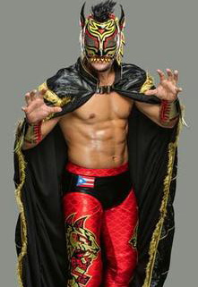 Lince Dorado