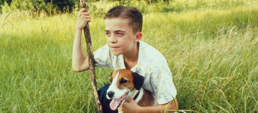 7 трогательных фильмов о дружбе человека и собаки