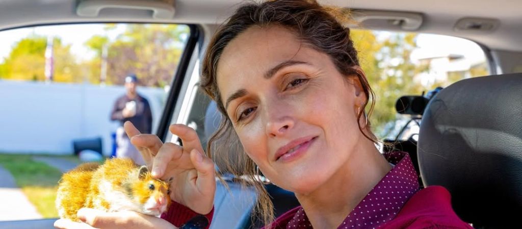 У нее были ноги, и она пинала ими Голливуд: почему Роуз Бирн заслуживает признания прямо сейчас?