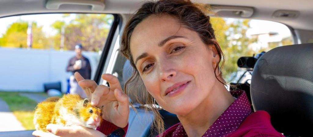 О чем говорят женщины? 20 лучших фильмов 2025 года, снятых режиссерками