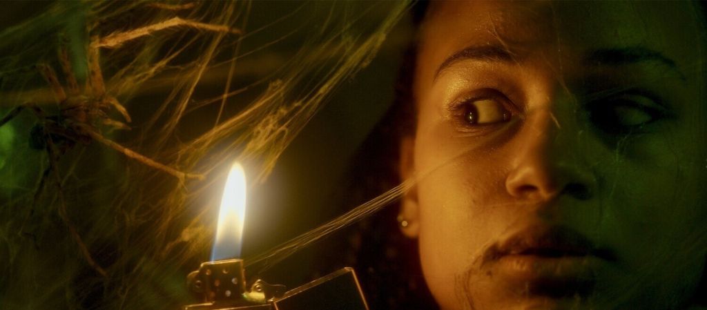 Рецензия на хоррор «Паутина страха»: оно ползет по тебе