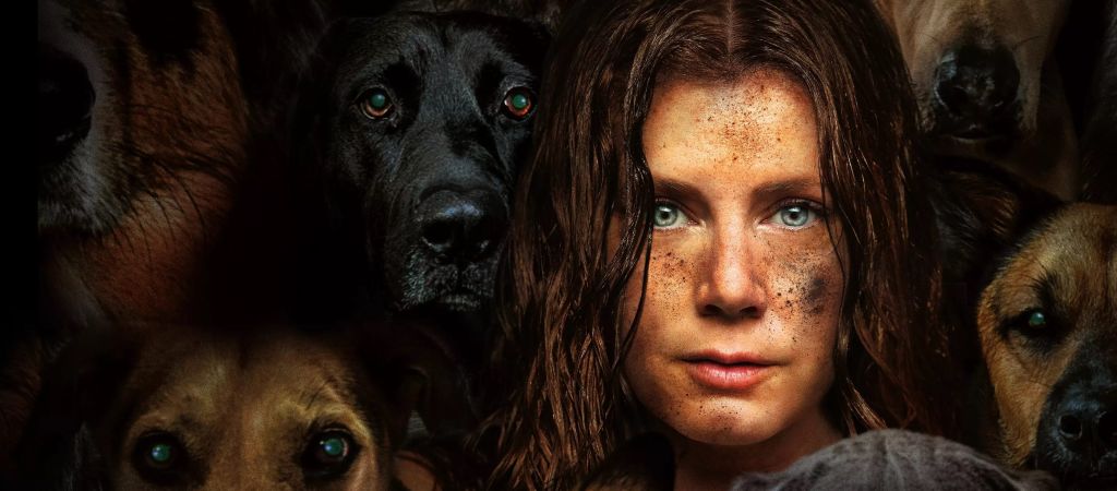 Собака села и заплакала: рецензия на фильм «Ночная сука» 