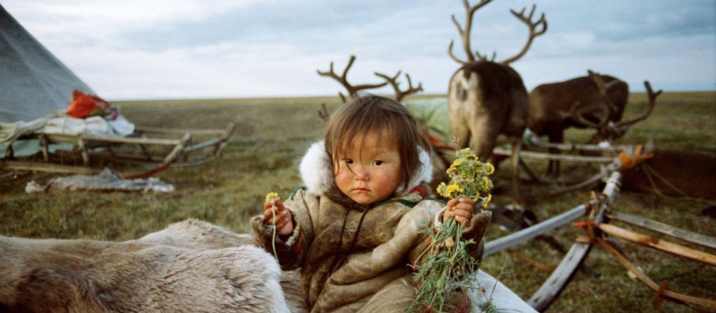 Рецензия на документальный фильм «У ветра нет хвоста»: вот и кончилось в тундре лето