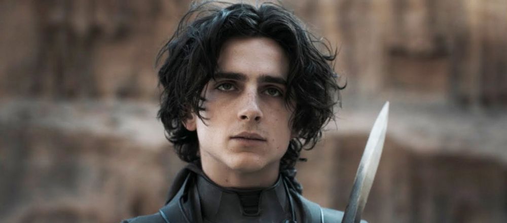 Тимоти Шаламе поделился подробностями о третьей части «Дюны»